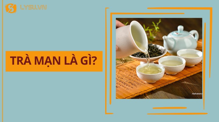 Trà mạn là gì và có tác dụng như thế nào