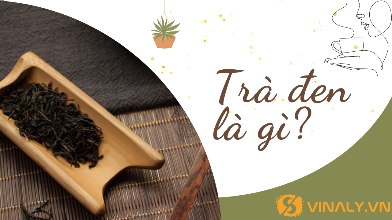Trà đen là gì?