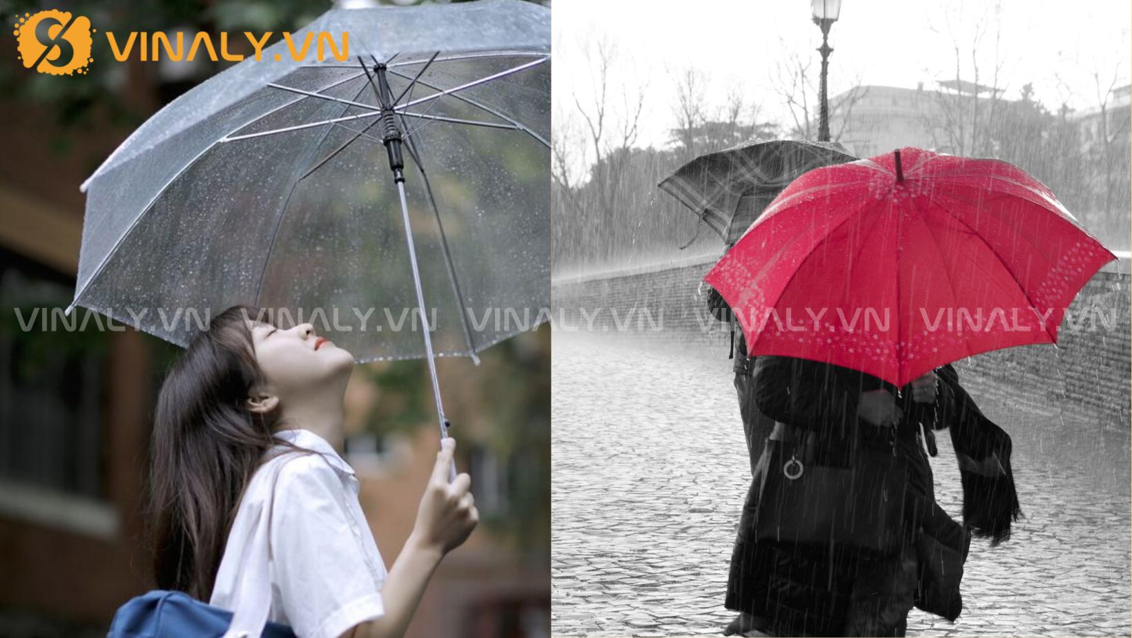 top 4 loại ô đi mưa được ưa thích nhất năm 2023 3 Các loại ô đi mưa cao cấp được ưa thích hiện nay