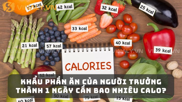 Khẩu Phần Ăn Của Người Trưởng Thành 1 Ngày Cần Bao Nhiêu Calo? 5 1 Ngày Cần Bao Nhiêu Calo