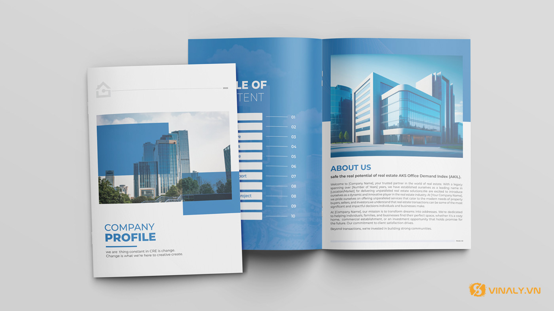 Vinaly Công Ty Cung Cấp Quà Tặng Doanh Nghiệp Uy Tín & Quy Trình Chuyên Nghiệp Tại TPHCM 2026 2 Hồ sơ năng lực của công ty cung cấp quà tặng doanh nghiệp