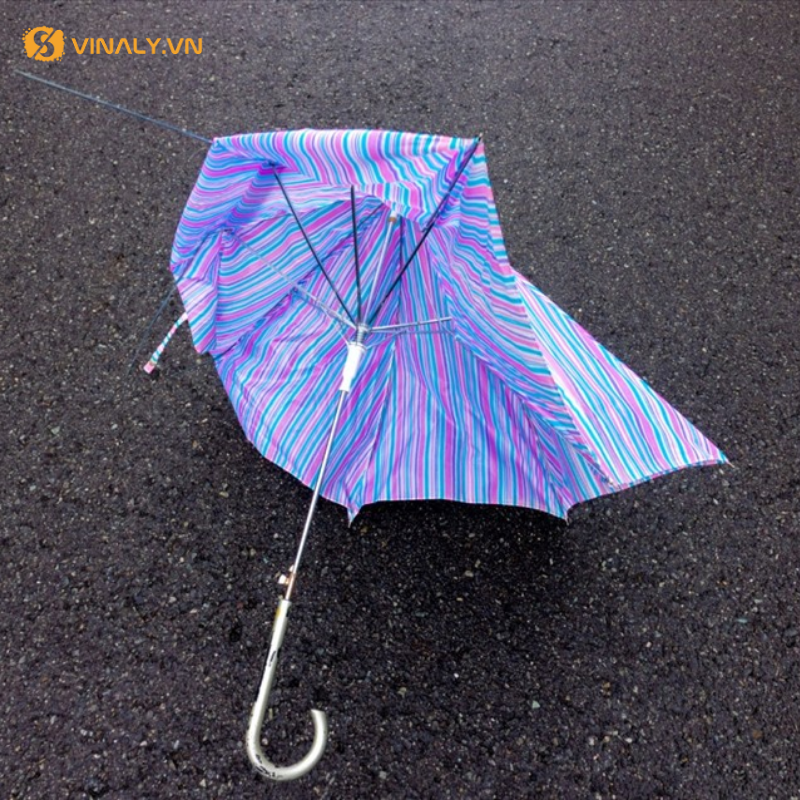 Không dùng dù khi đi ngược gió